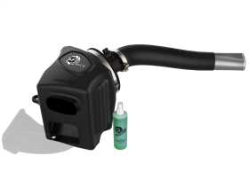 Momentum HD Pro DRY S Air Intake System 51-72006-E